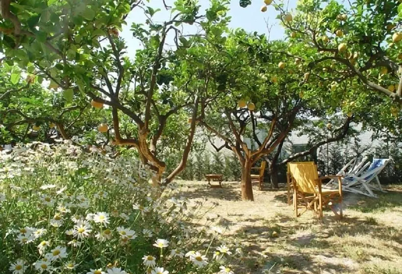 ホテル Villa Tre Sorelle