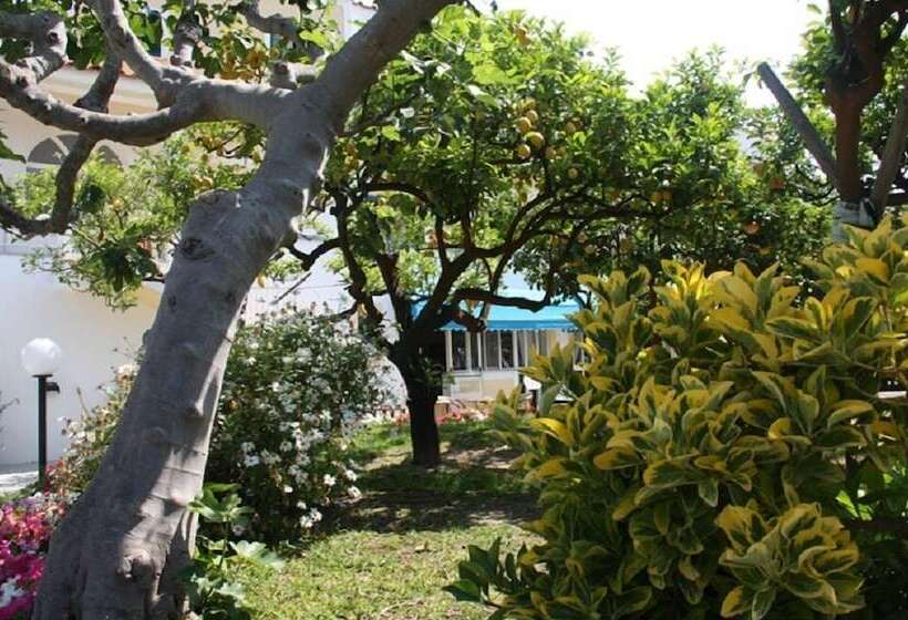 Отель Villa Tre Sorelle