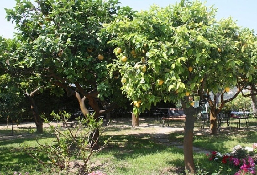 Отель Villa Tre Sorelle