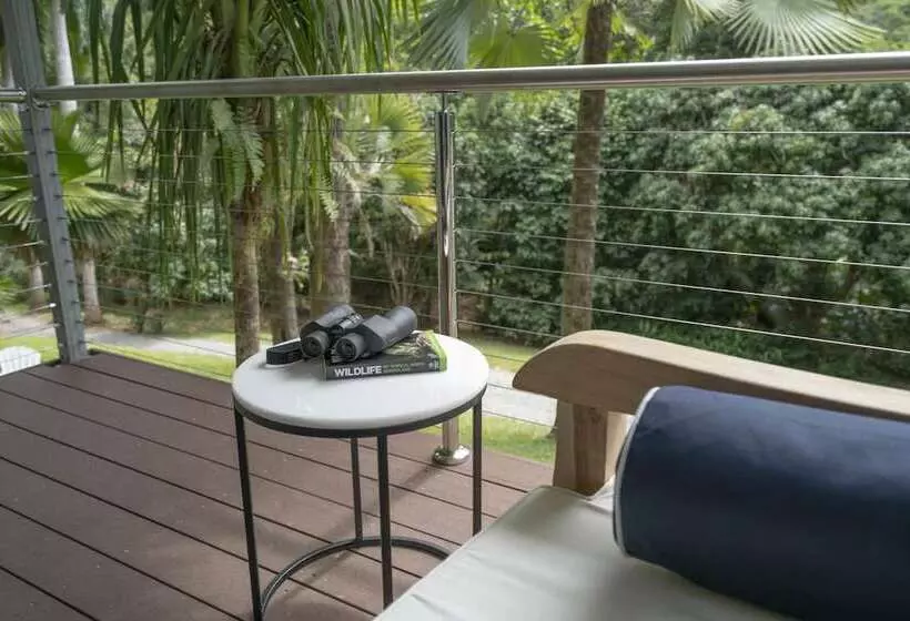 Mist At Cape Tribulation