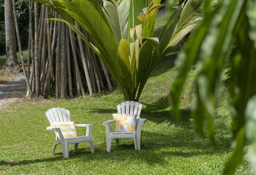 Mist At Cape Tribulation