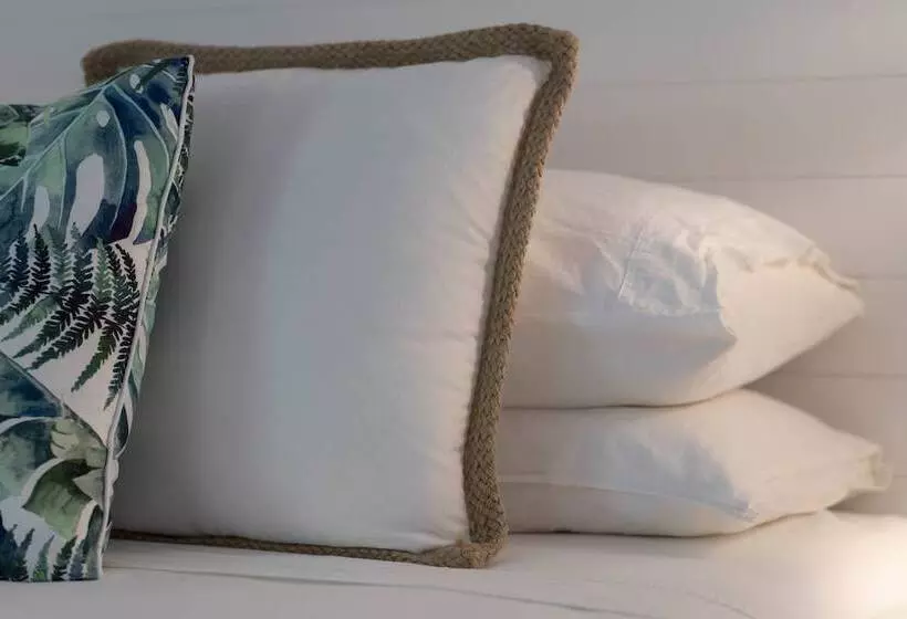 Mist At Cape Tribulation