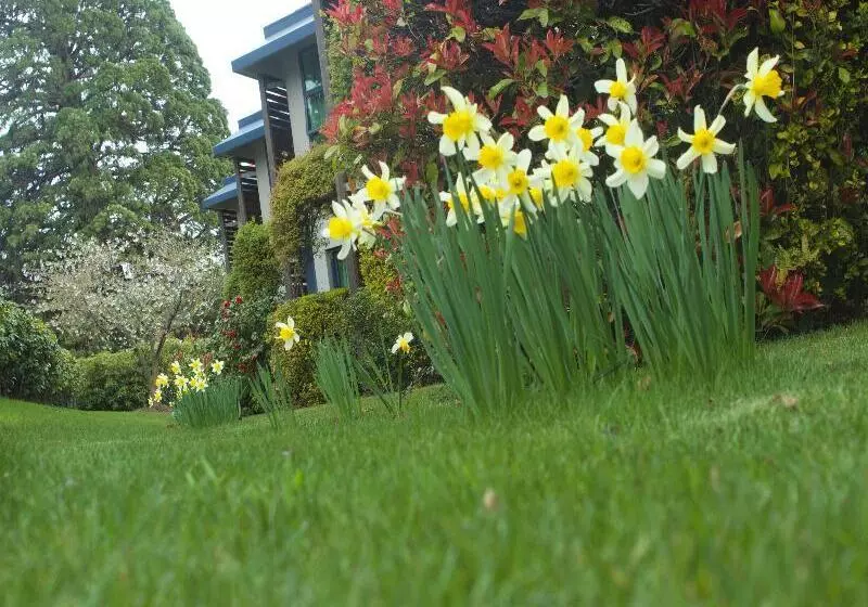 Отель Blue Peaks Lodge