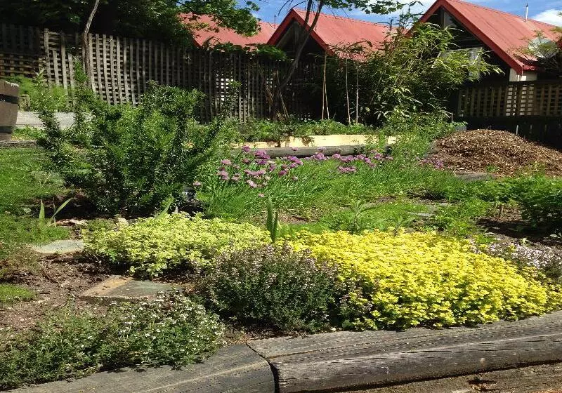 Отель Blue Peaks Lodge