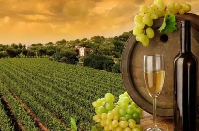 Paihia Pacific Resort