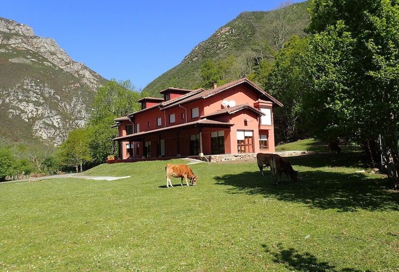 Albergue Los Avellanos   Hostel