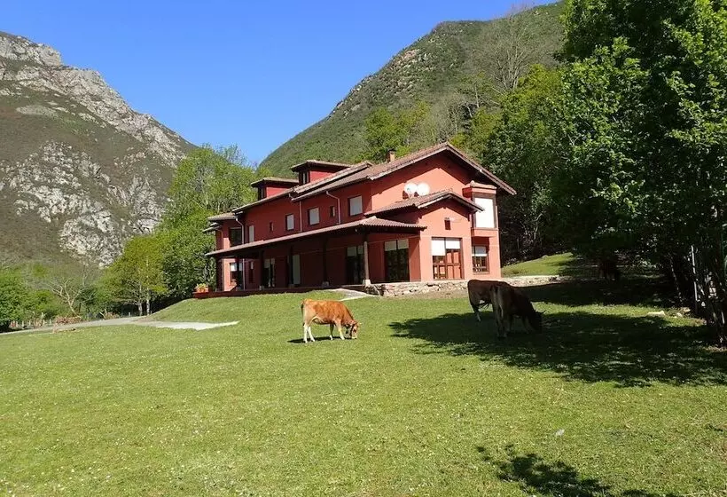 Albergue Los Avellanos   Hostel