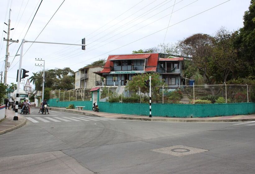 مسافرخانه Posada Nativa Miss Trinie