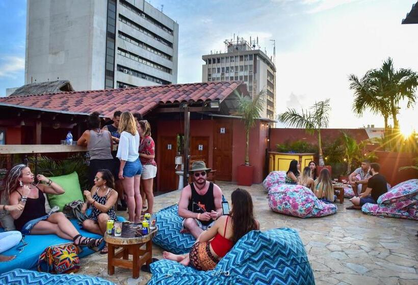 Hotel La Brisa Loca Hostel