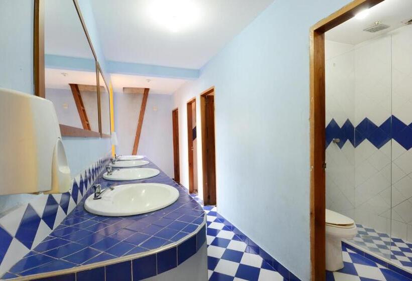 Hotel La Brisa Loca Hostel