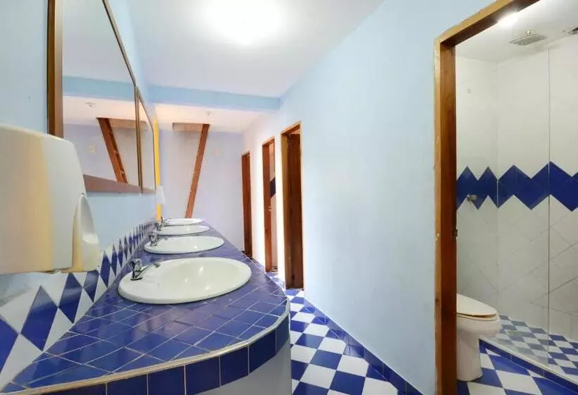 هتل La Brisa Loca Hostel