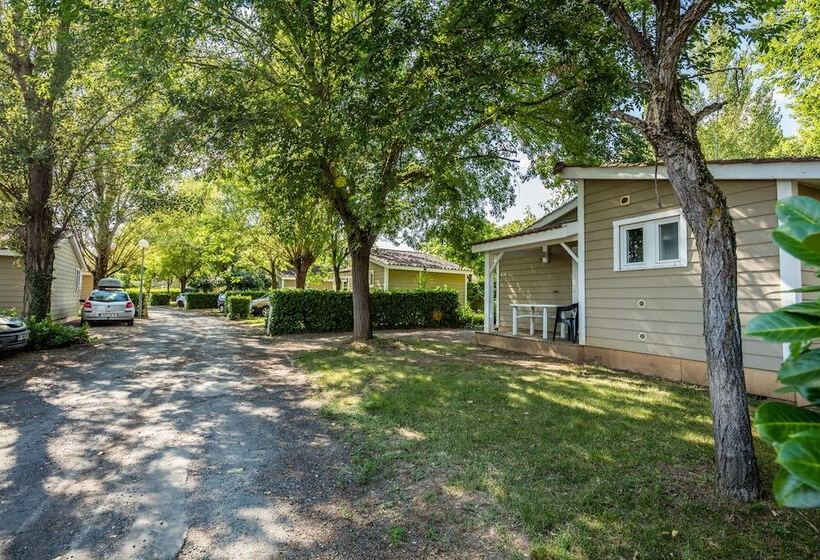 Le Domaine Du Cèdre