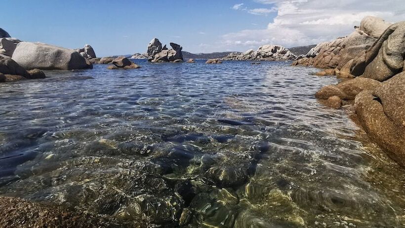 住所  Résidence De Tourisme Mare E Macchia