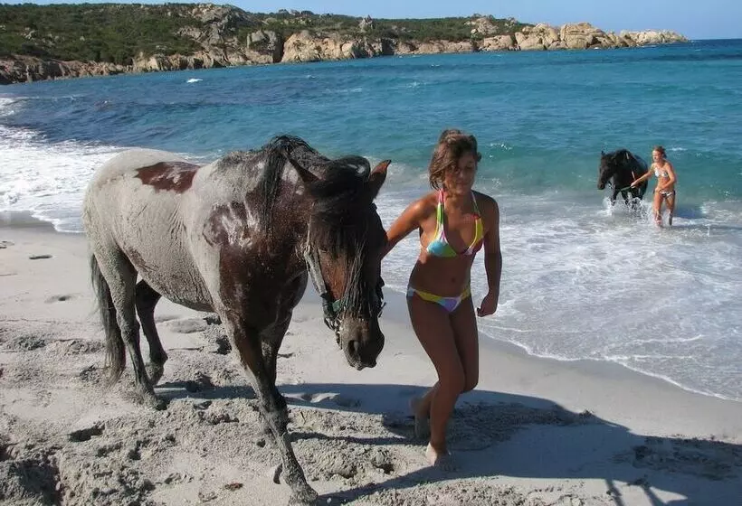 Residenssi Résidence De Tourisme Mare E Macchia