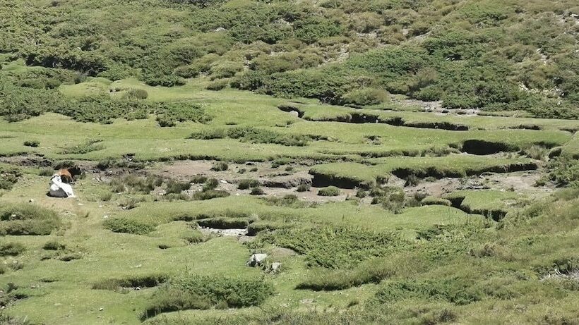 住所  Résidence De Tourisme Mare E Macchia