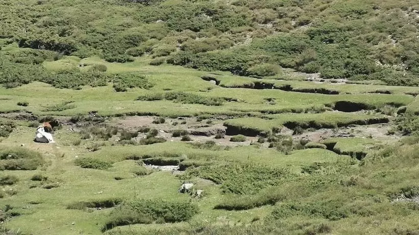 Residenssi Résidence De Tourisme Mare E Macchia