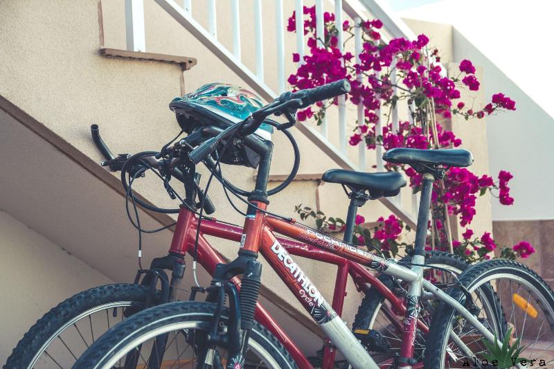 ユースホステル Aloe Vera Shared House