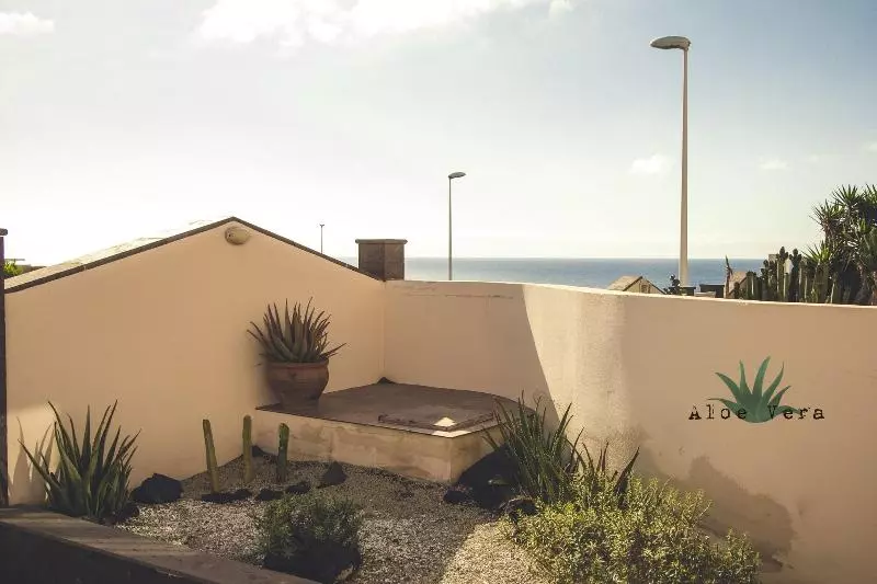 هاستل Aloe Vera Shared House