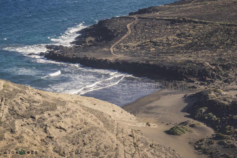 ユースホステル Aloe Vera Shared House