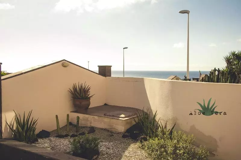 هاستل Aloe Vera Shared House