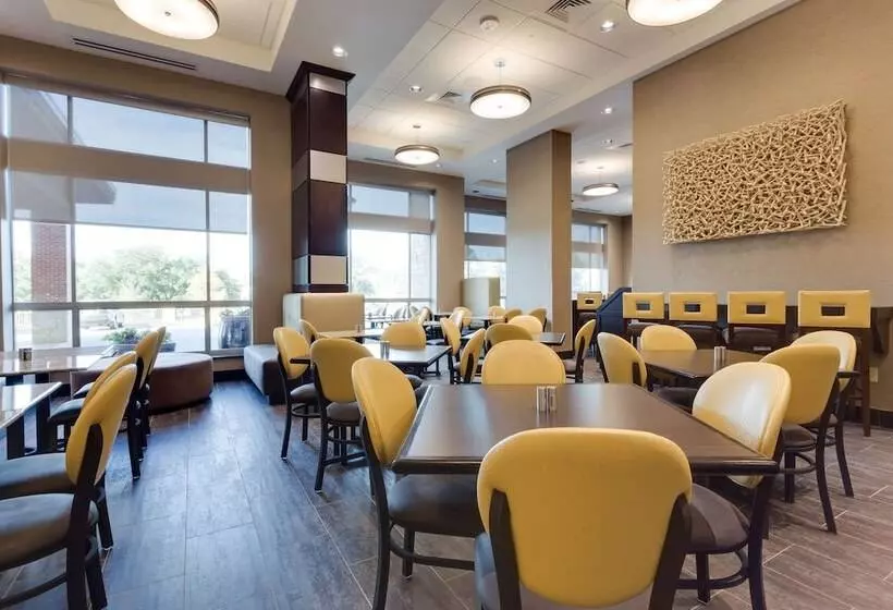 ホテル Drury Inn & Suites Dallas Frisco