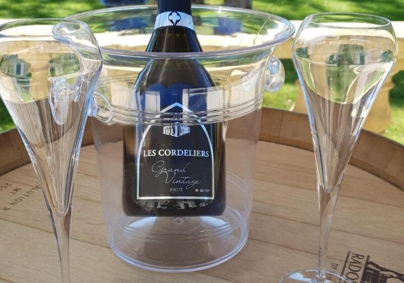 پانسیون Chateau Puygrenier