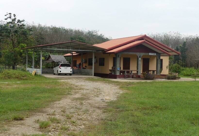 بنسيون Health Care Land