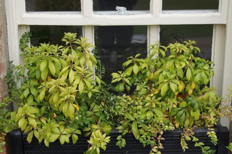 Пансион That Amazing Place