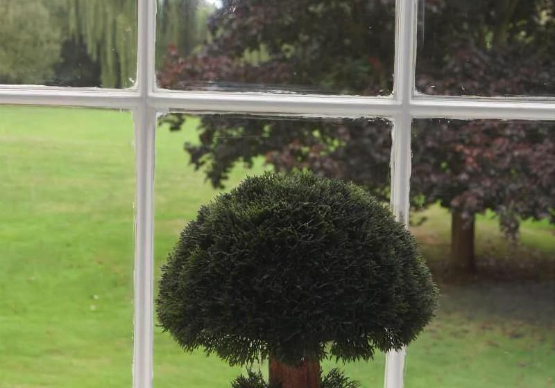 Пансион That Amazing Place