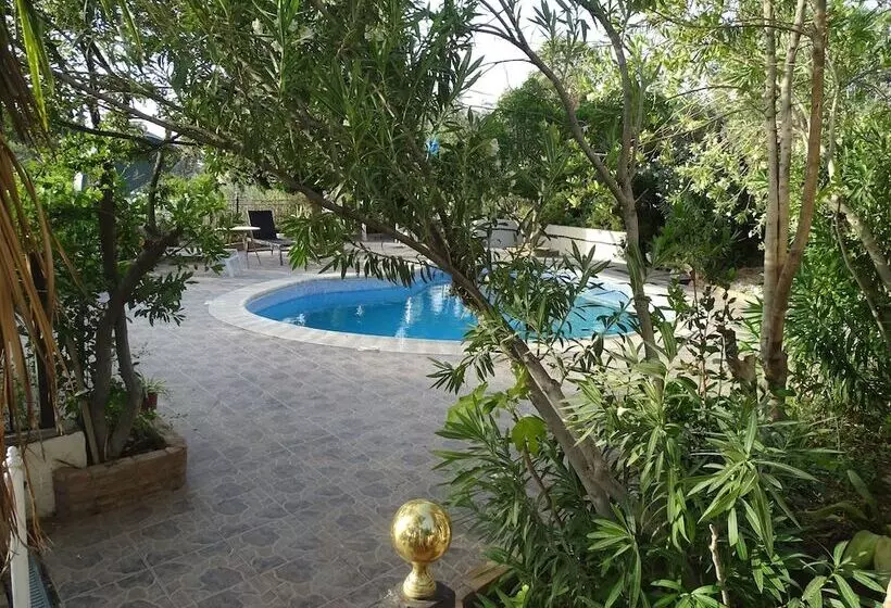 ベッドアンドブレックファースト Villa El Palomar De Granada