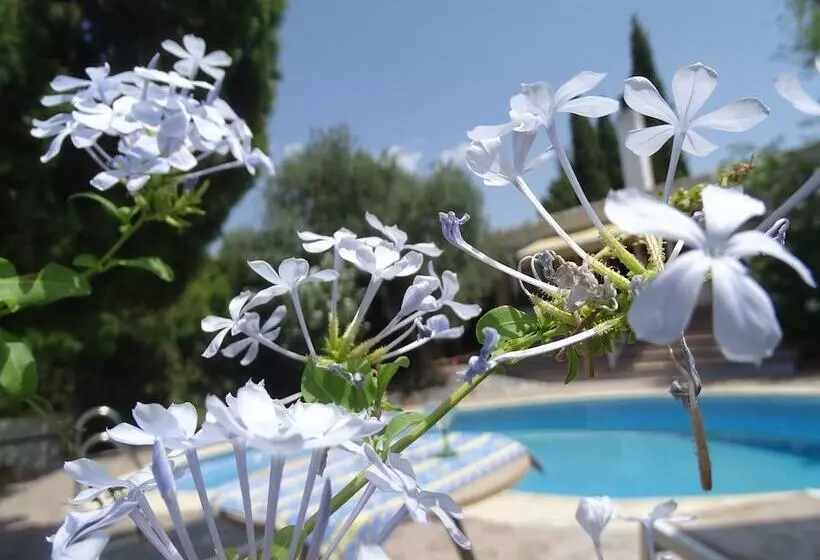 ベッドアンドブレックファースト Villa El Palomar De Granada