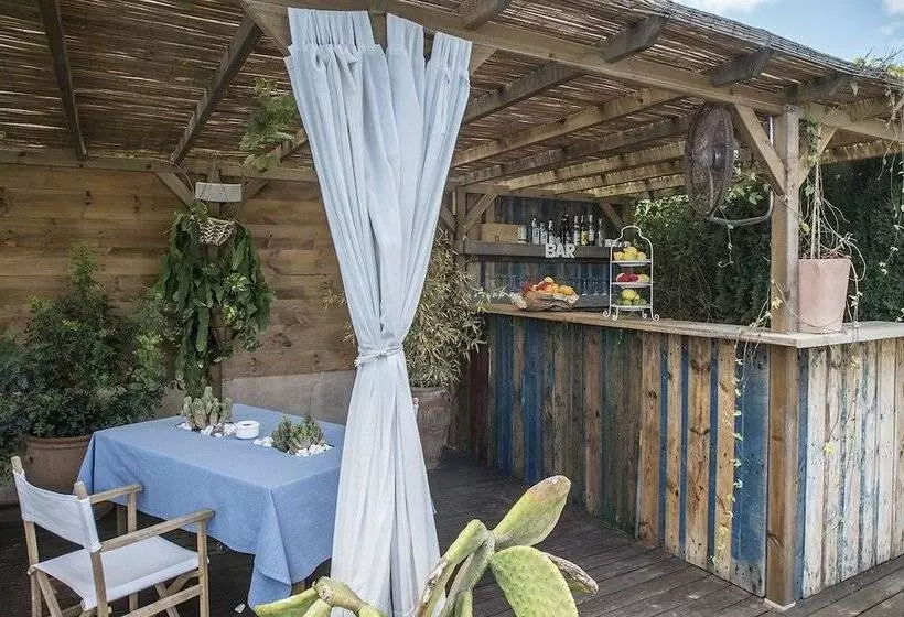 Can Aisha   Adults Only