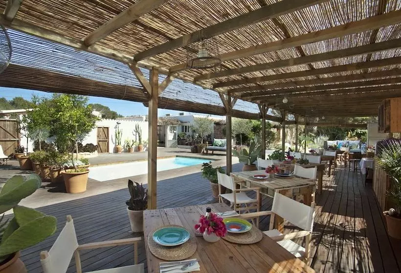 Can Aisha   Adults Only