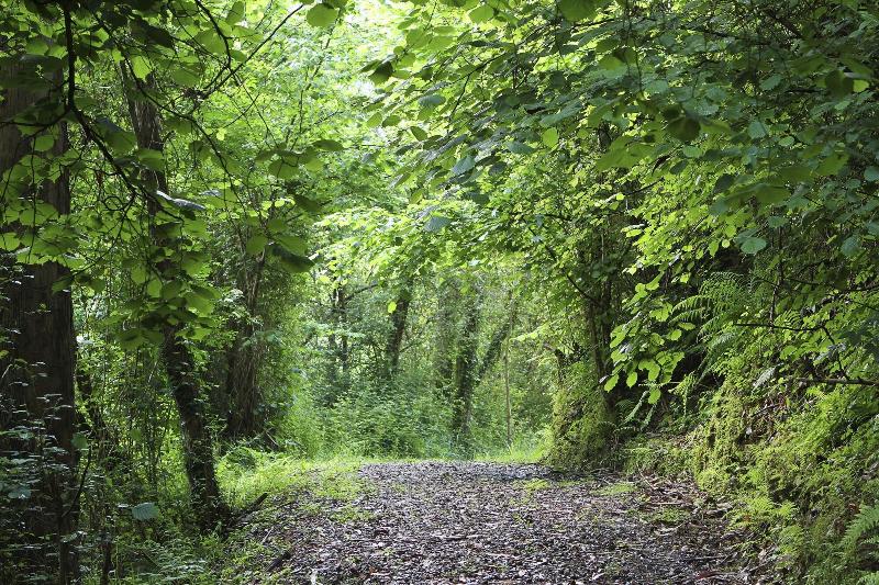 Casa Rural La Posada Del Alba