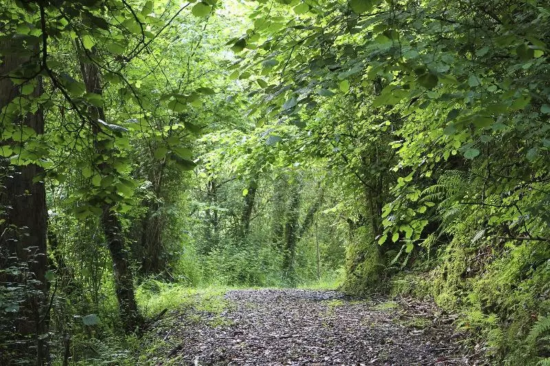 Casa Rural La Posada Del Alba