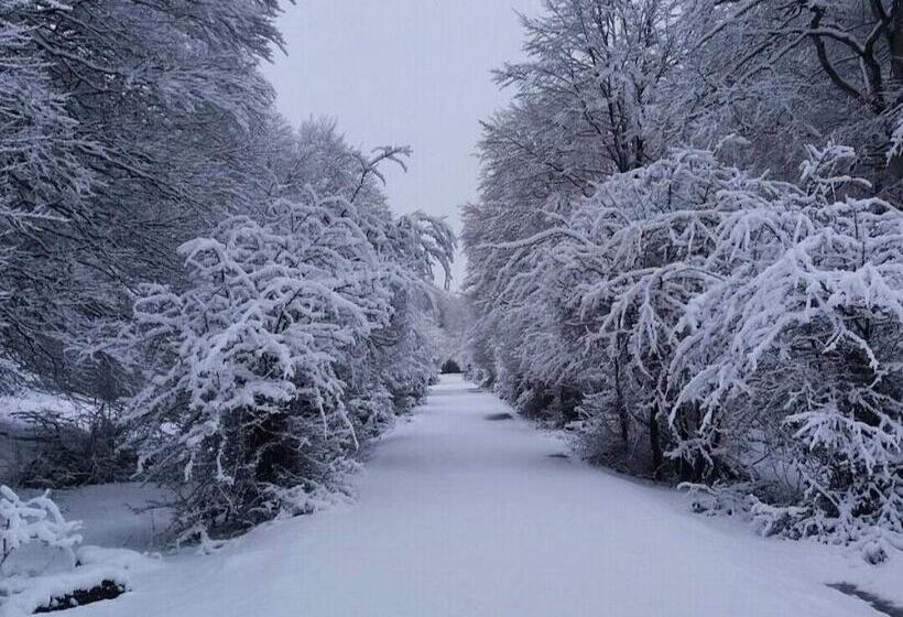 ホテル Andamur San Roman