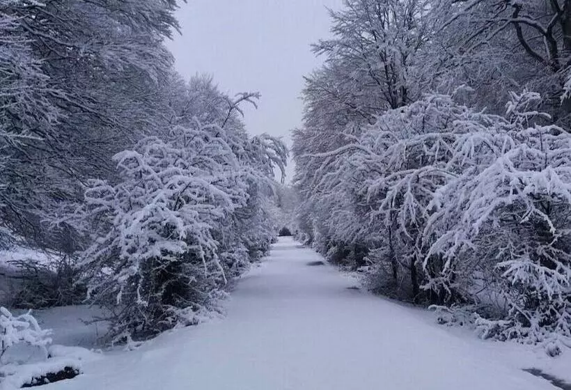 Hotelli Andamur San Roman