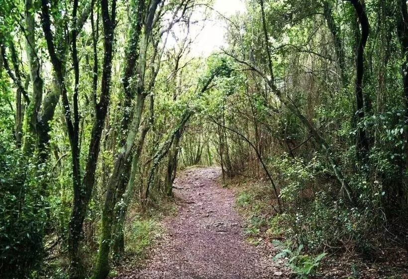 Hotelli Andamur San Roman