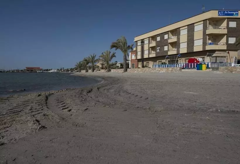 ホテル Apartamentos La Encarnación