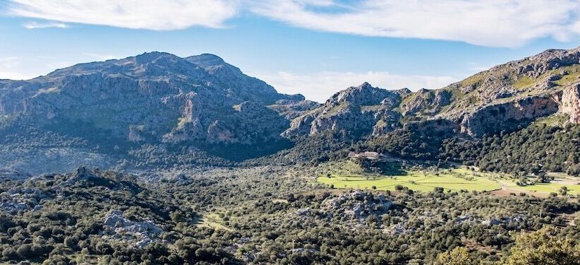 فندق ريفى Agroturismo Son Alzines