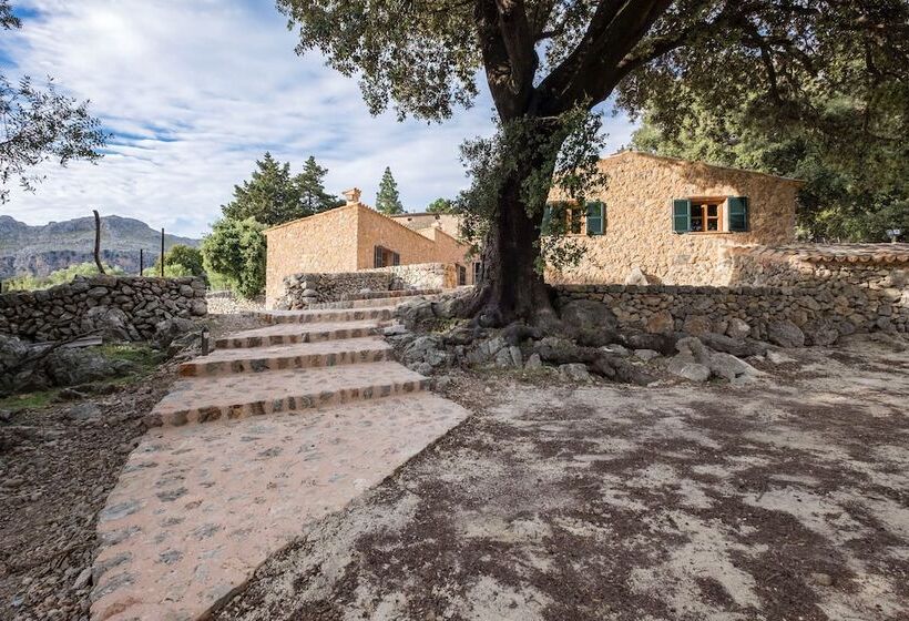 فندق ريفى Agroturismo Son Alzines