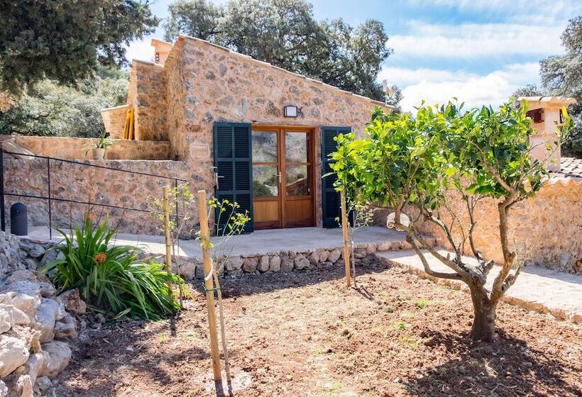 فندق ريفى Agroturismo Son Alzines