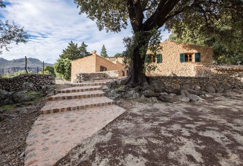 فندق ريفى Agroturismo Son Alzines