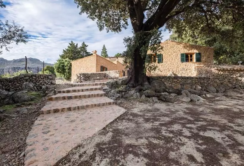 Maaseutuhotelli Agroturismo Son Alzines