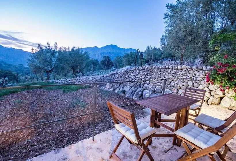 Maaseutuhotelli Agroturismo Son Alzines