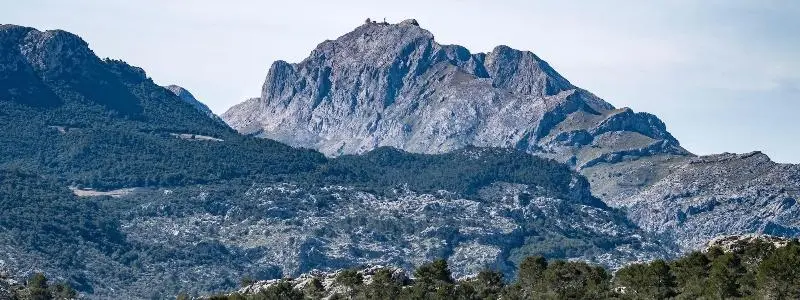 هتل روستایی Agroturismo Son Alzines