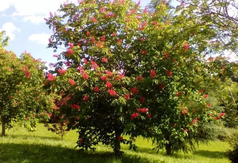 ペンション Hospederia San Jose Monasterio De Santa Clara Derio
