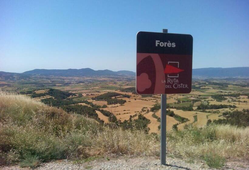 Rural Horizons On La Ruta Del Cister
