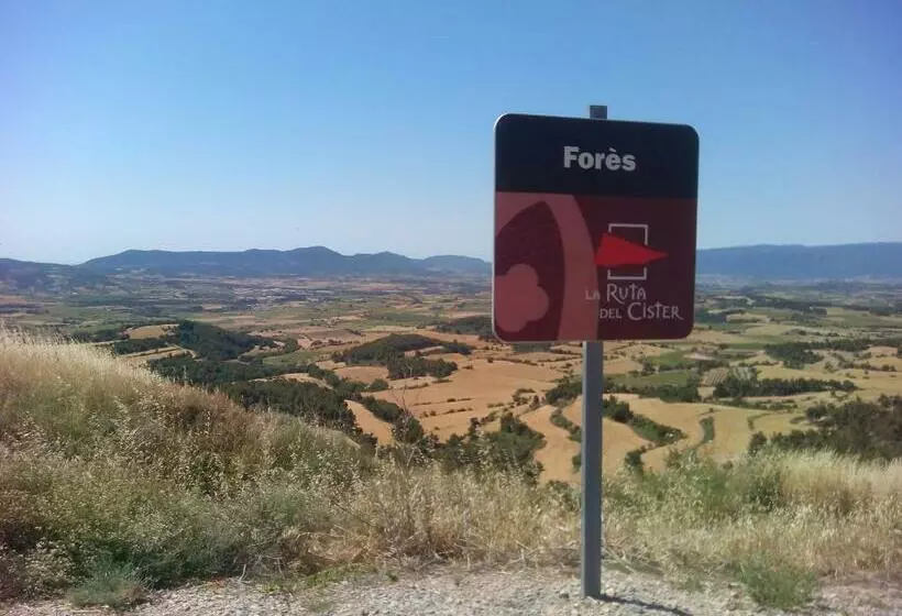 Rural Horizons On La Ruta Del Cister