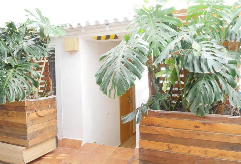 Nanit Rooms Ibiza Hostal